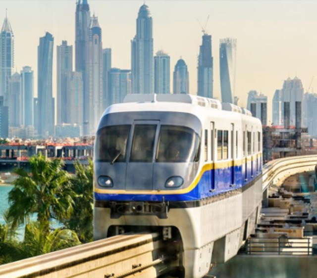 Monorail Palm
