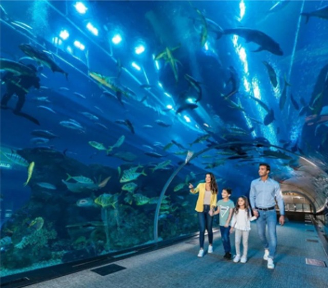 Dubai Aquarium and Underwater Zoo