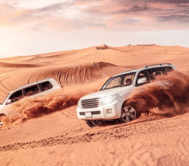 Standard Desert Safari Dubai Tour