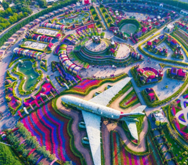 Miracle Garden