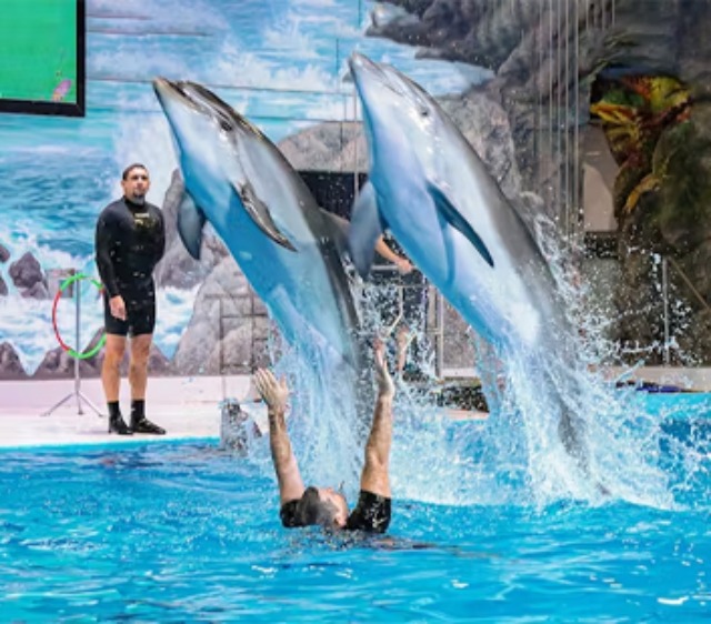 Dubai Dolphinarium