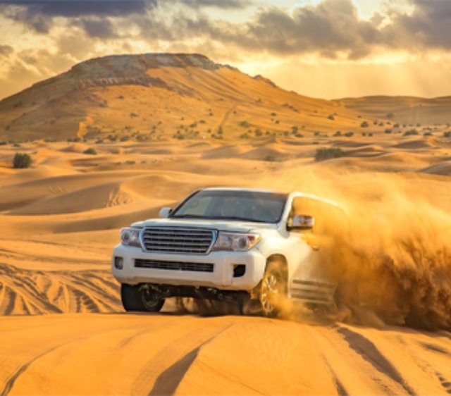 Desert Safari